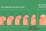 [Chia sẻ] Những điều cần biết khi bị đứt dây hãm bao quy đầu